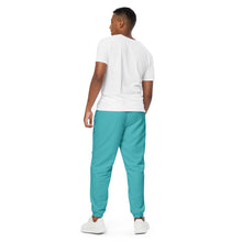 Load image into Gallery viewer, Unisex Track Pants (Viking)