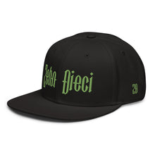 Load image into Gallery viewer, Snapback Hat (Black & Green)
